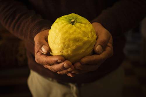 citrus fruit man holding a fruit fruit